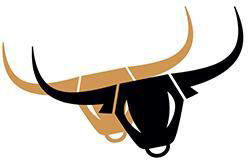 Комплект тяговых аккумуляторов RuTrike 6-EVF-120 (60V120A/H C3)