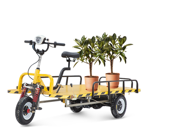 Ланшафтный дизайн