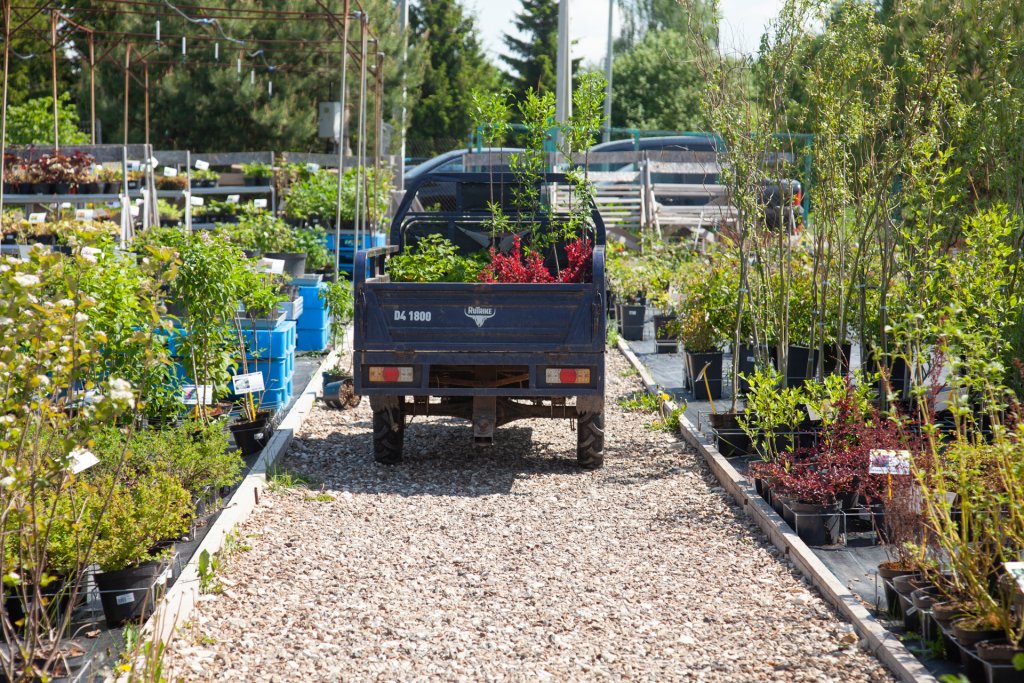 Ovchinnikov (132 of 35).jpg Ovchinnikov (132 of 35).jpg