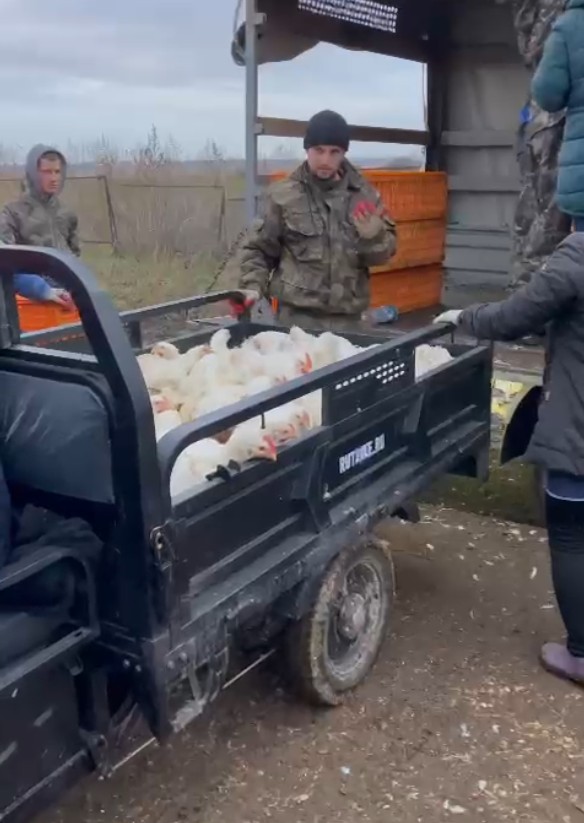 Скриншот-19-02-2025 06_13_56.jpg