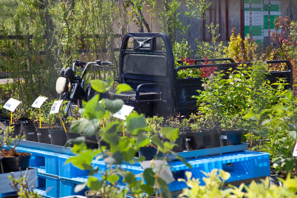 Ovchinnikov (131 of 35).jpg