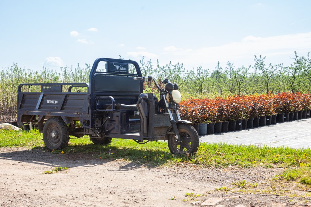 Ovchinnikov (121 of 35).jpg