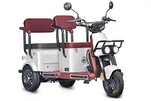 Электротрицикл Wanshida U1-X 60V 800Вт