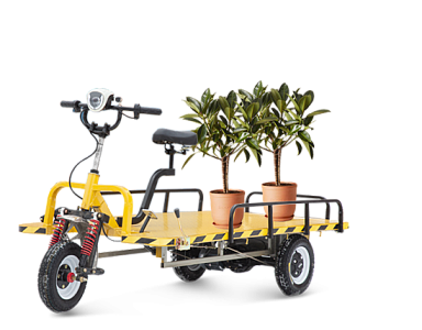 Ланшафтный дизайн