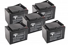 Комплект тяговых аккумуляторов RuTrike 6-EVF-55 (60V55A/H C3)
