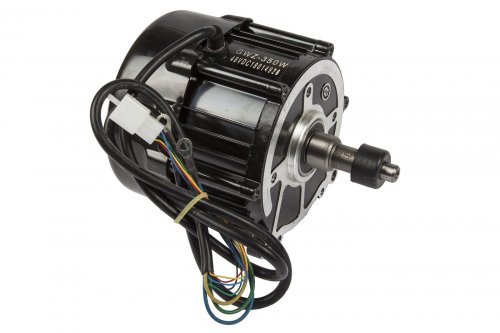 Двигатель электрический 48V 350W