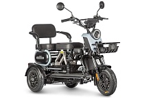 Электротрицикл Wanshida UN MOTO 60V 650Вт