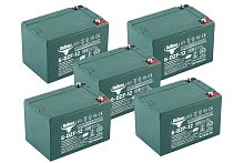 Комплект тяговых аккумуляторов RuTrike 6-DZF-12 (60V12A/H C2)