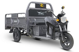 Поступили долгожданные трициклы D4 с мощностью моторов 1200 и 1500Вт