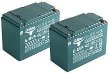 Комплект тяговых аккумуляторов RuTrike 6-EVF-45 (24V45A/H C3)